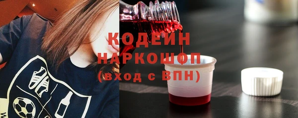 спиды Богородицк