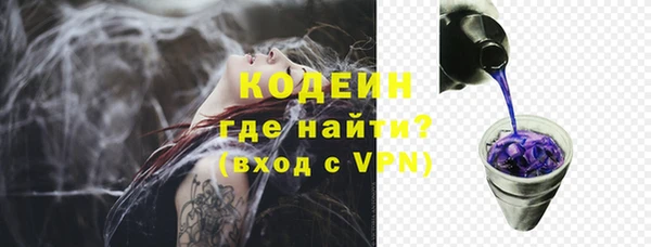 спиды Богородицк