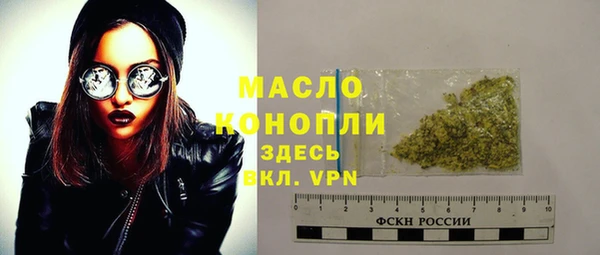 спиды Богородицк