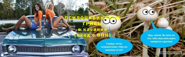 прущие грибы Богородск