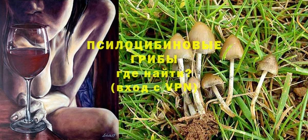 mdma Богданович