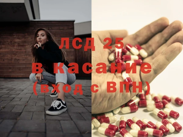 прущие грибы Богородск