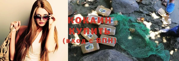спиды Богородицк
