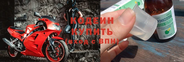 прущие грибы Богородск